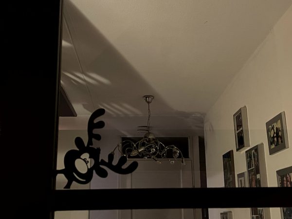 Raamsticker (herbruikbaar) "kiekeboe Rudolph" - Afbeelding 2